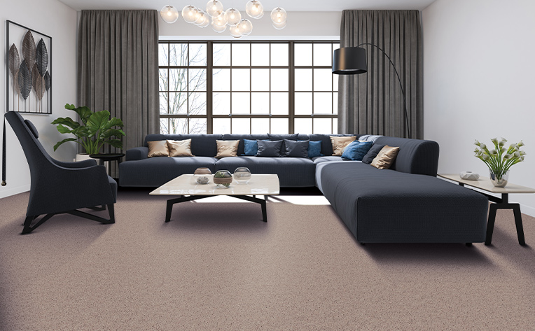 interior lighting carpet living room
